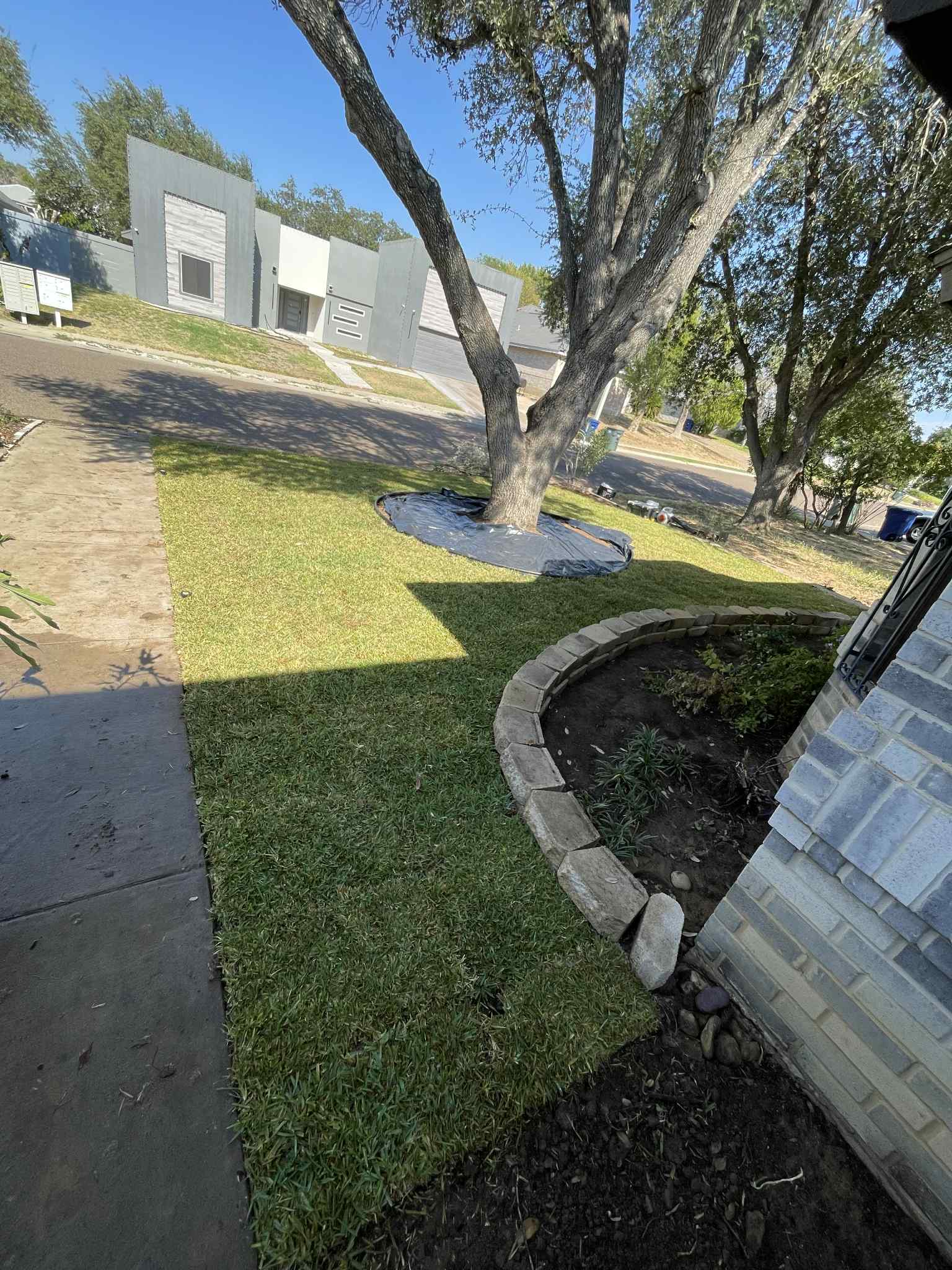 030cd3b6-0429-4bdb-98d0-dcef79bd4ae6